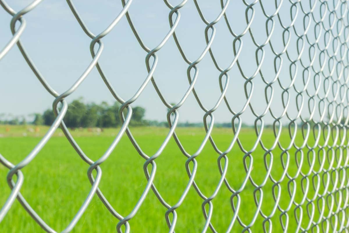 Fencing Chain Link net for Fencing mesh Fenceing Wire Height 4 feet Bundle Length: 50 feet Diameter:2.6 mm Size 3"x3" inches Ideal for Fencing (12 Gauge Wire) - Back View